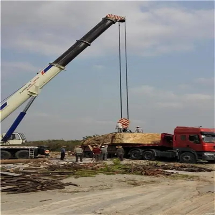 晋州重型设备吊装